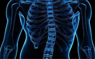 教您脊椎側彎的鍛煉方法